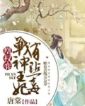 战神凰妃小说免费