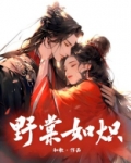野棠如炽小说介绍