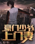 豪门少爷上门妻