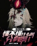 轮回乐园分类