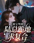 萌宝驾到,我的妈咪是大佬