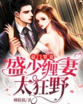 豪门罪妻盛少缠妻太狂野免费阅读