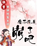 错绑了情敌的系统之后小说