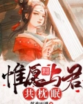 惟愿与君共枕眠无弹窗