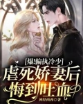 偏执总裁惹不起