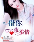 借你一夜柔情