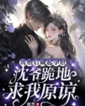 离婚后,沈总追妻火葬场小说免费阅读