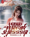 《灵兽》小说