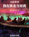 火红年代我在陕北当知青小说