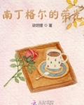 南丁格尔的奉献