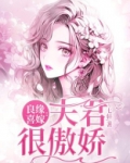 良缘喜嫁：夫君很傲娇