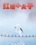 红楼小夫子盗版小说