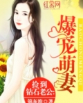捡到钻石老公 小说免费阅读