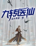 九转医仙燕辰