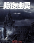 暗夜幽灵