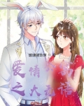 爱情公寓5大