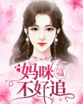六宝联盟团妈咪不好惹又名