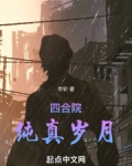 四合院纯真岁月