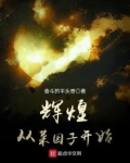 辉煌从菜园子开始123