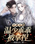 小妻惹火宠上瘾温念