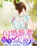 闪婚娇妻太迷人小说免费阅读