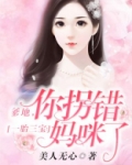 一胎三宝:爹地,你拐错妈咪了!