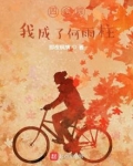 四合院:我成了何雨柱 他哥何雨城小说