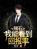赌石：我能看到回报率