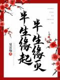 半生缘起，半生缘灭